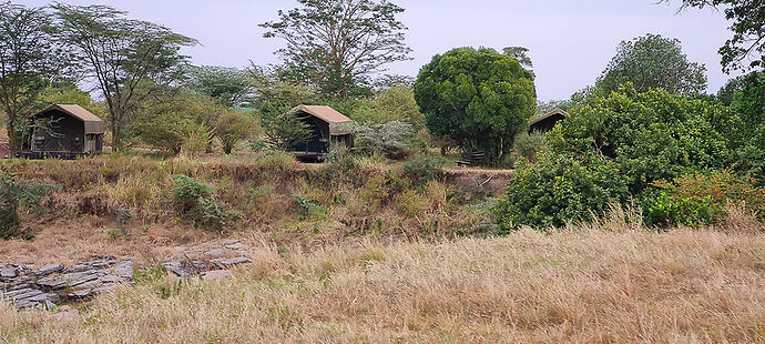 Re: Kenya juillet 2021 un nouveau safari de Samburu au Massai Mara en passant par Meru et Aberdare NP - Karen56