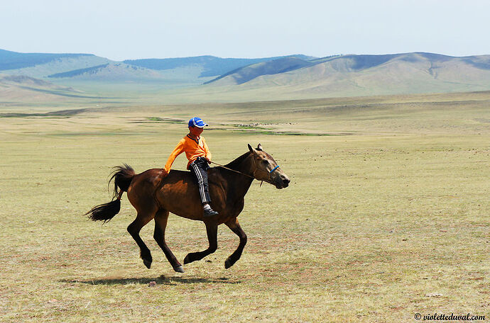 Souvenirs de Mongolie - Violette1469