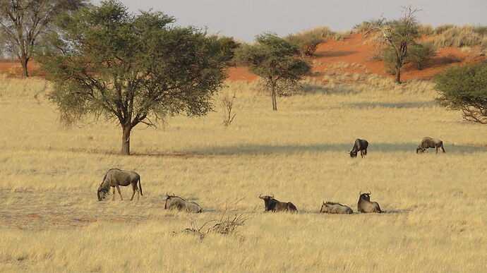 Activités en Namibie - Fra67