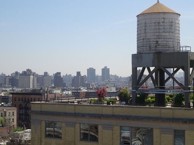 Le Whitney Museum - sourisgrise