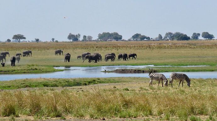 Re: NAMBOTSVIC Namibie- Botswana- Victoria Falls, 3 semaines magiques - PATOUTAILLE