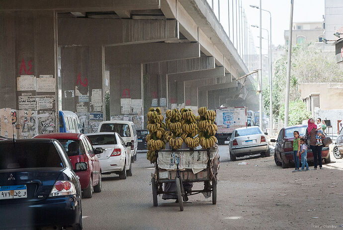 Carnet de voyage : une semaine en Egypte - minibou