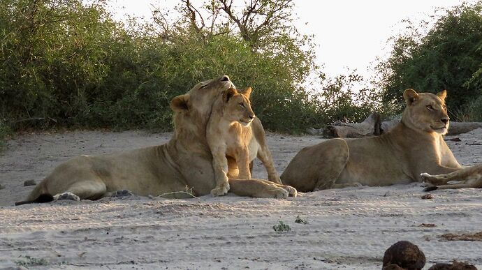 Re: NAMBOTSVIC Namibie- Botswana- Victoria Falls, 3 semaines magiques - PATOUTAILLE