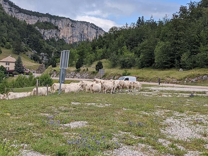 Re: Carnet de voyage, 9 jours en Nord-Ardèche - Fecampois