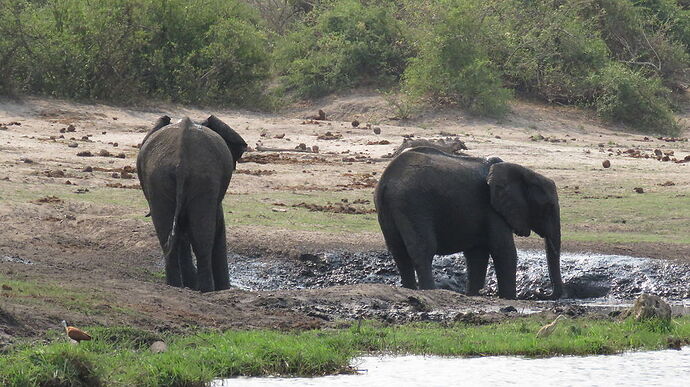 Re: NAMBOTSVIC Namibie- Botswana- Victoria Falls, 3 semaines magiques - PATOUTAILLE