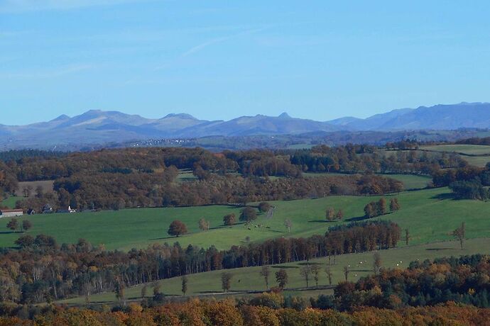 Re: Habiter en Auvergne. - calamity jane