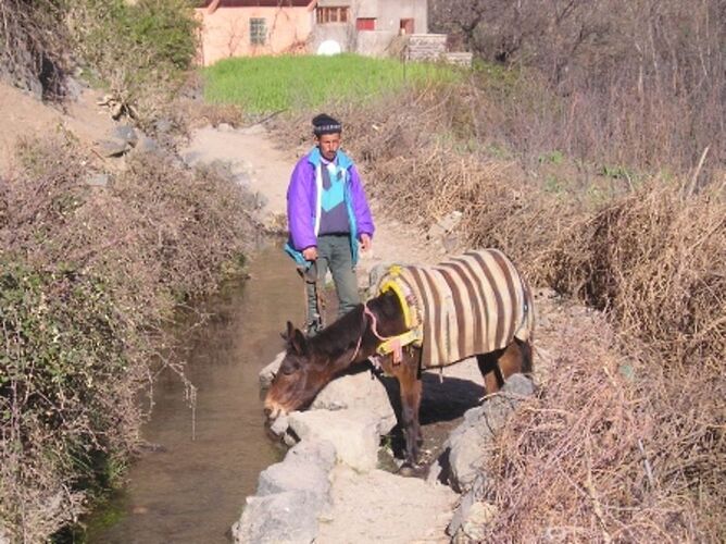 Re: Montagnes, oasis, kasbahs du Maroc  - trostang