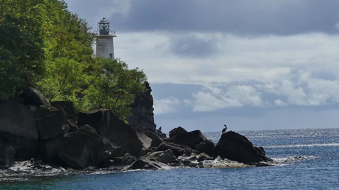 Re: Retour 2 semaines en Guadeloupe - michele87