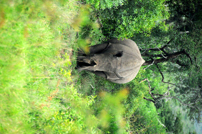 Re: Au paradis ! Compte rendu d'un voyage de 2 petites semaines en Afrique du Sud - L-argonnais Re: Au paradis ! Compte rendu d'un voyage de 2 petites semaines en Afrique du Sud - L-argonnais