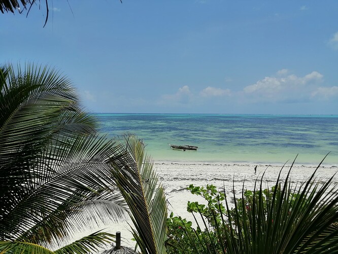 Zanzibar (4)
