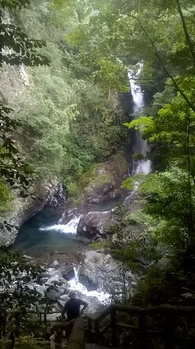 Re: 26 jours au Japon en voiture ou Japan Rail Pass ? - carolle