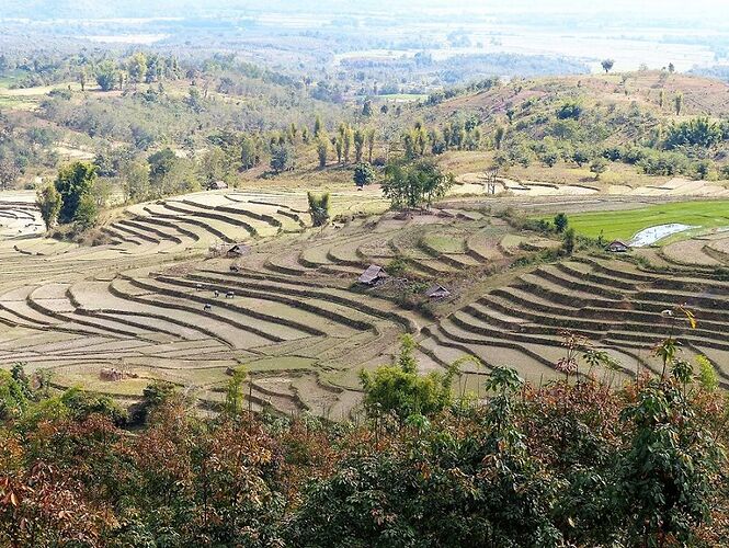 Retour d'expérience 17 jours en Birmanie du 26 janvier au 11 février: épisode 1 Yangon et Kengtung - fabienne65