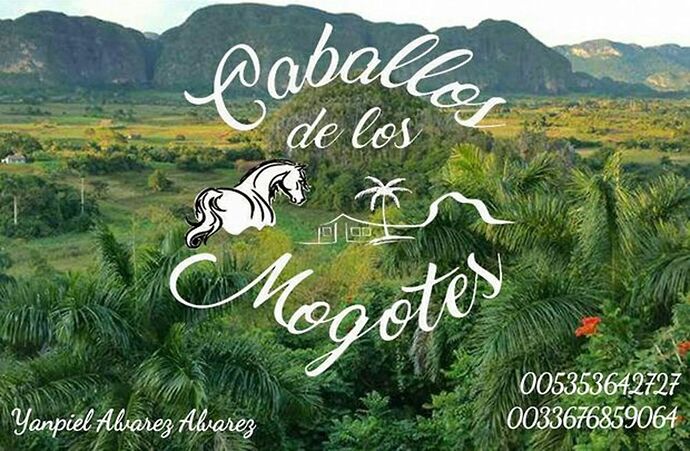 Re: Arrêtez les promenades à cheval à Cuba - droopydany