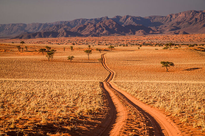 Dimanche 4 Août – Journée dans la NamibRand Nature Reserve - darth