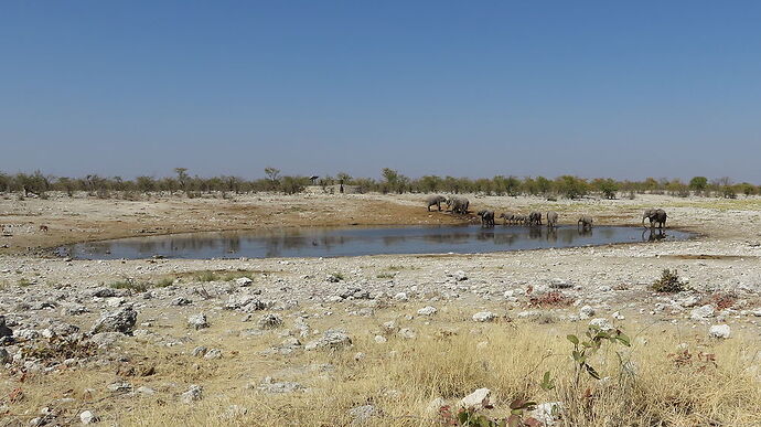 Re: autotour Namibie juillet 2017 - Fra67