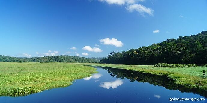 Re: Marais de Kaw - Lapinous