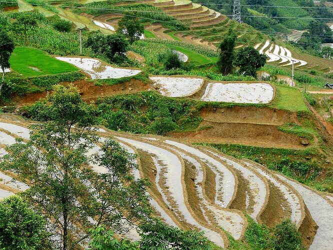 Re: 3937km au Vietnam: la traversée du Vietnam en scooter, de Saigon à Hanoi en passant par la Baie d'Halong et Sapa! - Abalone_vn