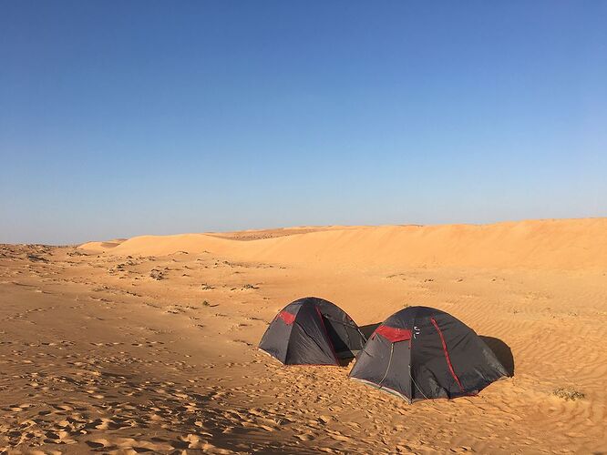 Re: De retour de deux semaines à Oman avec 3 jeunes enfants en camping sauvage - jmayo