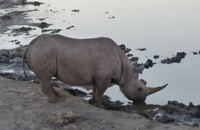 Re: 3 fabuleuses semaines Namibiennes- juillet 2021 - Patbillvoyage