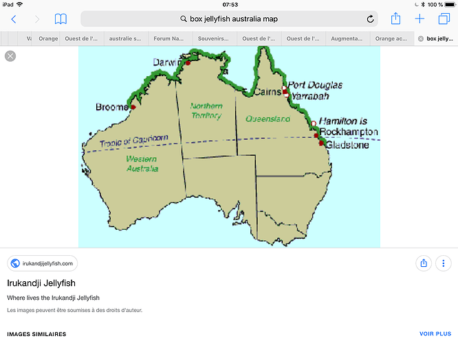 Re: Choix du roadtrip de 3 semaines pour Novembre 2019 en Australie - PATOUTAILLE