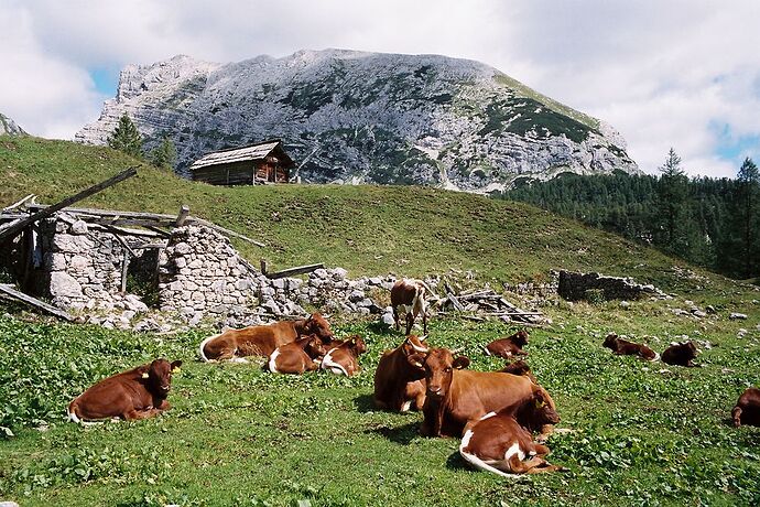 Retour d'une randonnée de trois jours dans le massif du Triglav - AurelienLVI