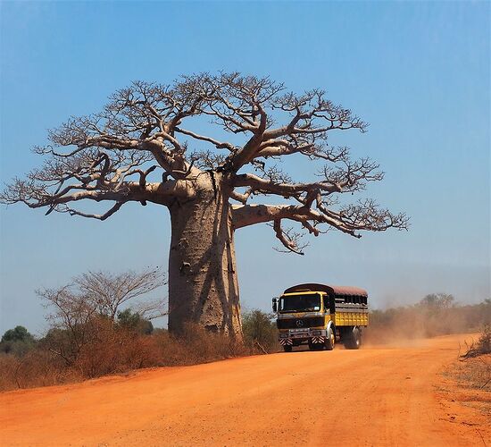 4 semai,es en 4x4 à Madagascar - PIHIEN