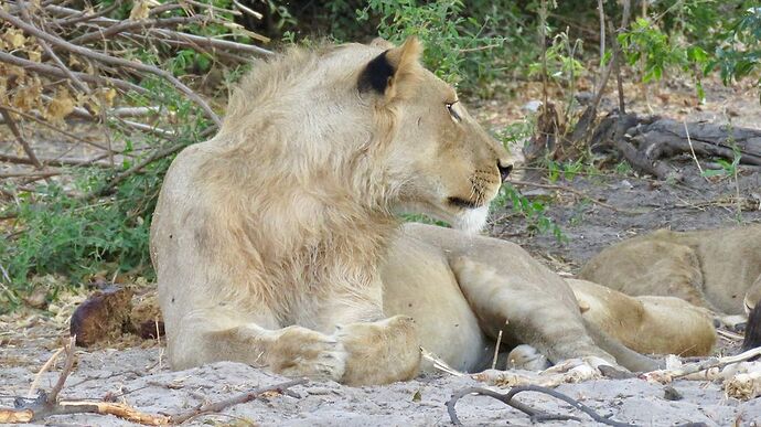 Re: NAMBOTSVIC Namibie- Botswana- Victoria Falls, 3 semaines magiques - PATOUTAILLE