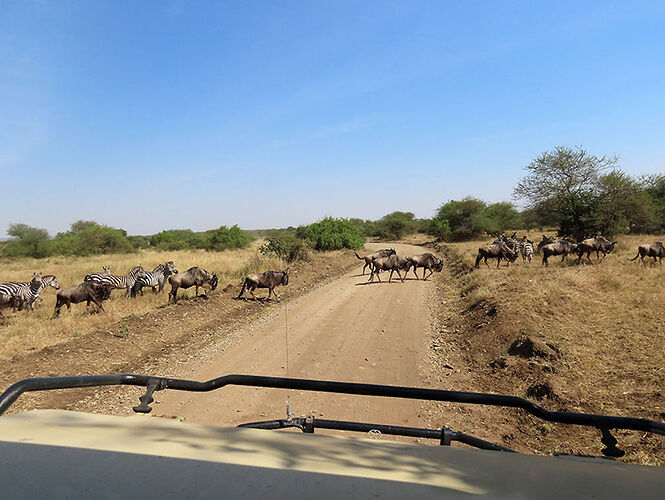 Re: Avis chauffeur guide FADHILI en Tanzanie - carobos