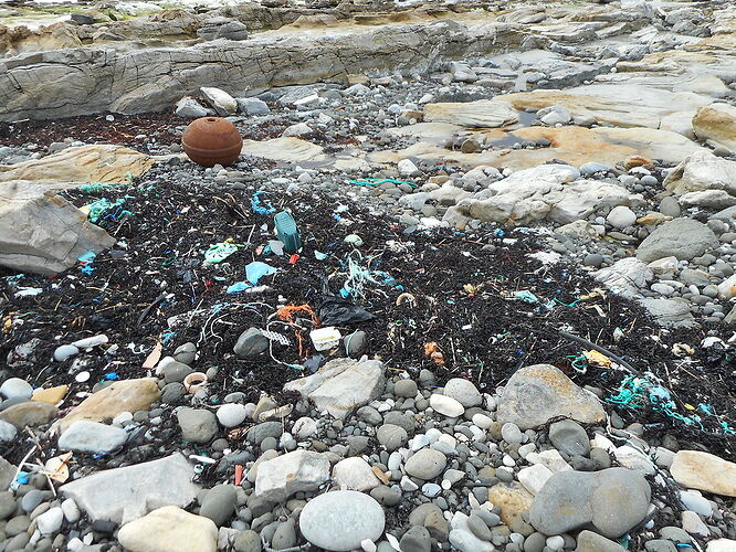 Pollution du rivage - calamity jane