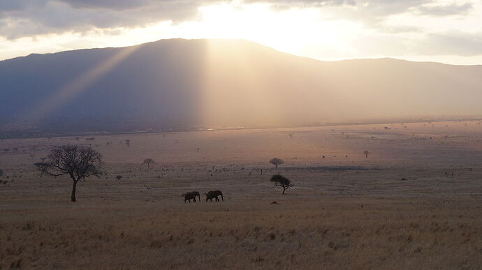 Re: Waltz Tours Safaris au Kenya - PsY-Martinez