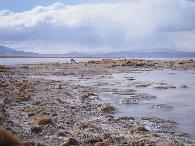 Expédition: Salar d'Uyuni et sa réserve naturelle Eduardo Avaroa - Flo-D