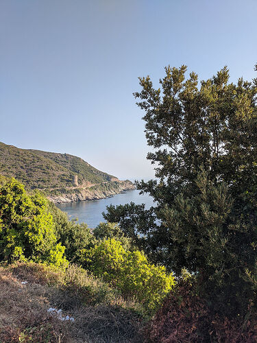 Re: 3 semaines de rêve en Corse, semaine n°2 - Fecampois