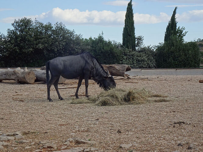 Re: Carnet de voyage, deux semaines en Provence - Fecampois