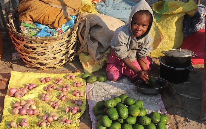 Re: Côte ouest de Tuléar à Morondava - worlder56