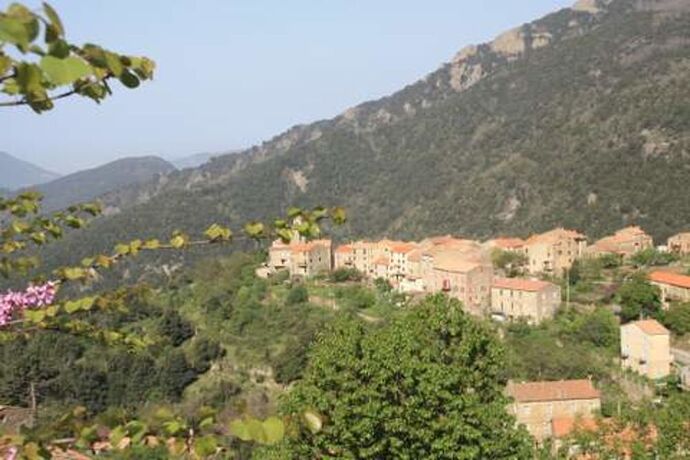 Re: 1 semaine en Corse en Septembre - michele87