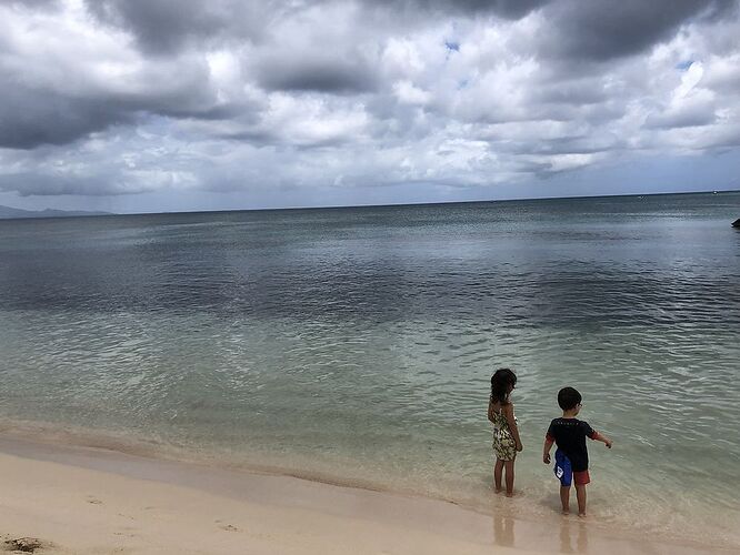 Re: Sargasses ou pas en Guadeloupe ? - maillenvadrouille