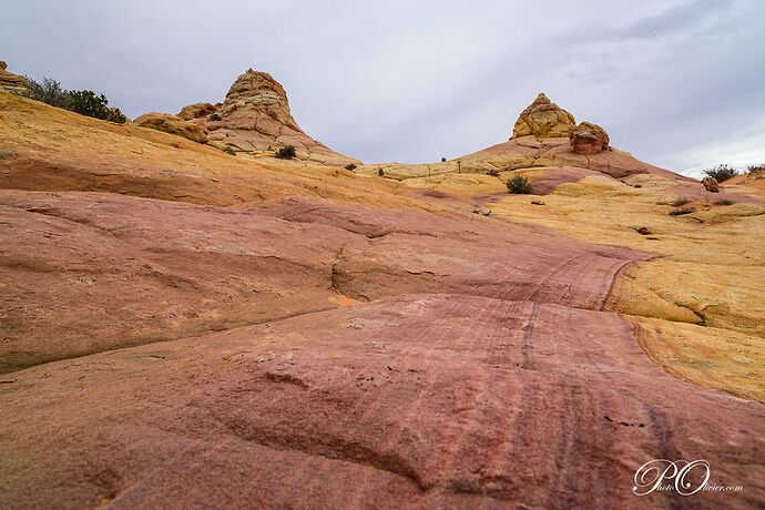 South Coyote Buttes - darth