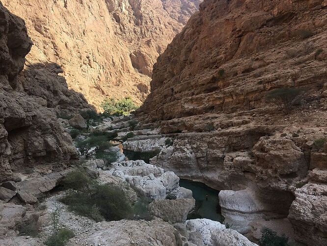 Re: De retour de deux semaines à Oman avec 3 jeunes enfants en camping sauvage - jmayo