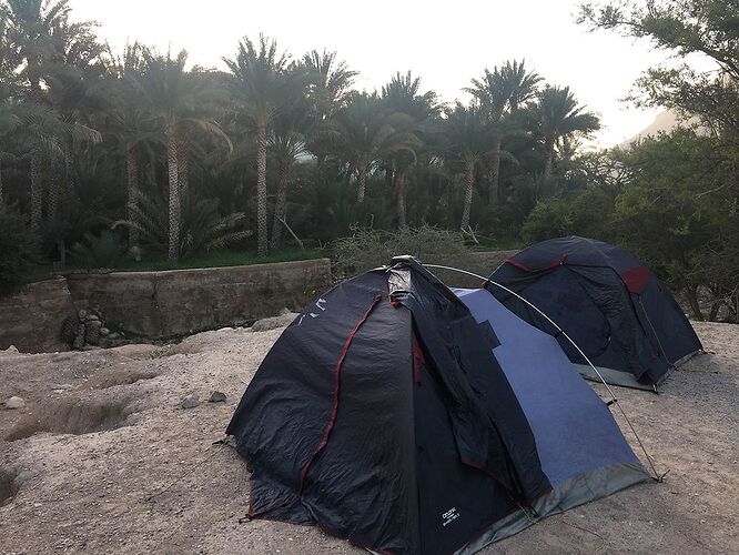 Re: De retour de deux semaines à Oman avec 3 jeunes enfants en camping sauvage - jmayo