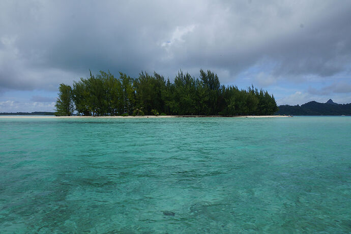 Retour sur croisière sur le bateau Aranui 3 en Polynésie Française 4 - cartesien