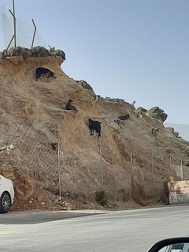 Re: Septembre - la Crète en direct - du monde à l'aéroport d' Heraklion et sur les routes - decouvrirlacrete-ch