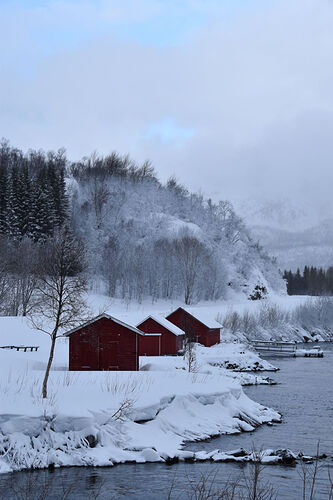 Re: De Tromsø aux îles Lofoten - 11 jours de road trip arctique - sebnella