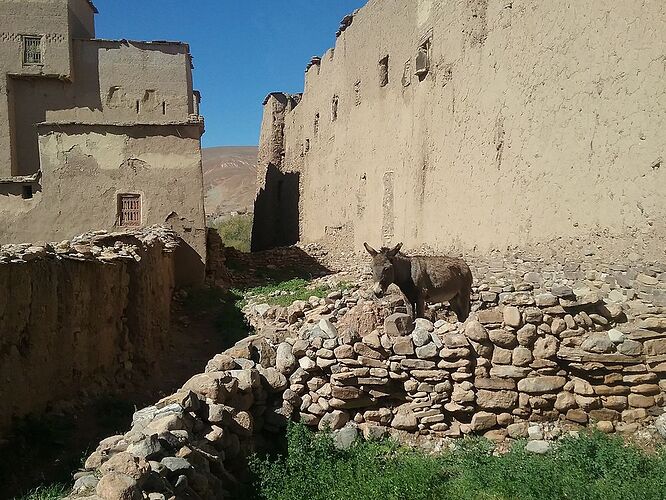 Re: Escale entre Marrakech et Ouarzazate - jbf