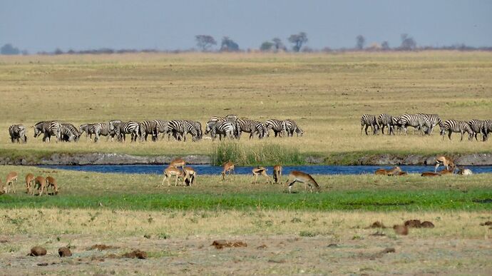 Re: NAMBOTSVIC Namibie- Botswana- Victoria Falls, 3 semaines magiques - PATOUTAILLE