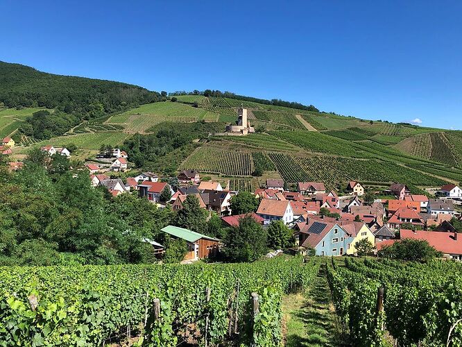 Dix jours en Alsace, des crêtes vosgiennes au vignoble alsacien - krikri&RV