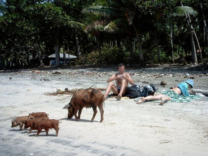 Idem la même jolie plage,...sans le lagon et sa poésie ... - Jacques JDSDF à CUBA