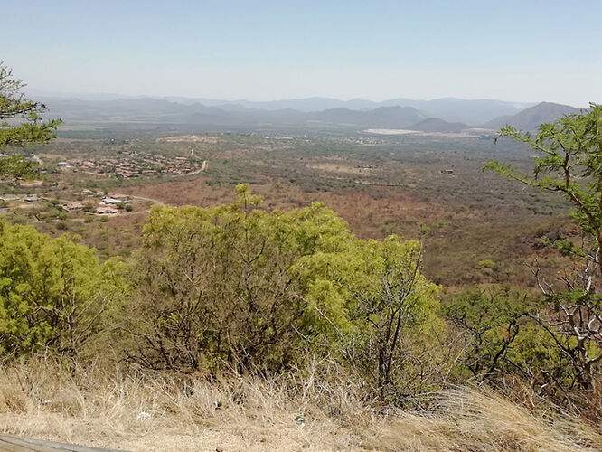 Re: Au paradis ! Compte rendu d'un voyage de 2 petites semaines en Afrique du Sud - L-argonnais Re: Au paradis ! Compte rendu d'un voyage de 2 petites semaines en Afrique du Sud - L-argonnais