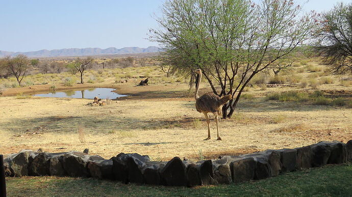 Re: NAMIBIE SUD et KTP, retour de 3 semaines magnifiques! - PATOUTAILLE