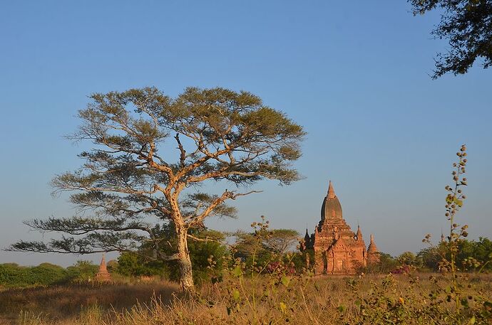 Suite 4ème épisode Mont Popa et Bagan / Retour d'expérience 17 jours en Birmanie  - fabienne65