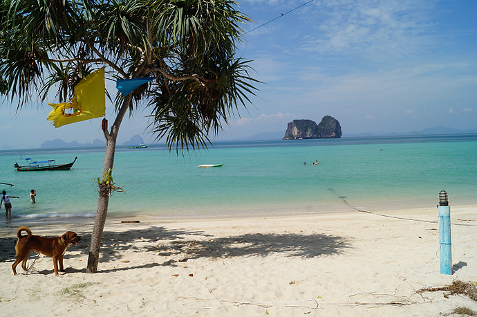 Re: Krabi sympa ou pas? - chez Re: Krabi sympa ou pas? - chez